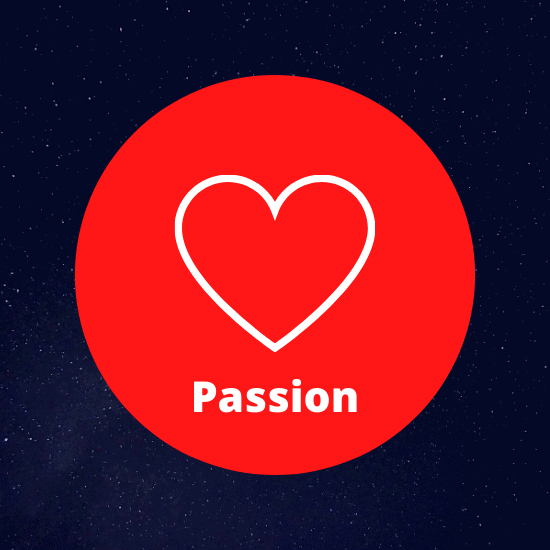 passion to choose a niche for blogging